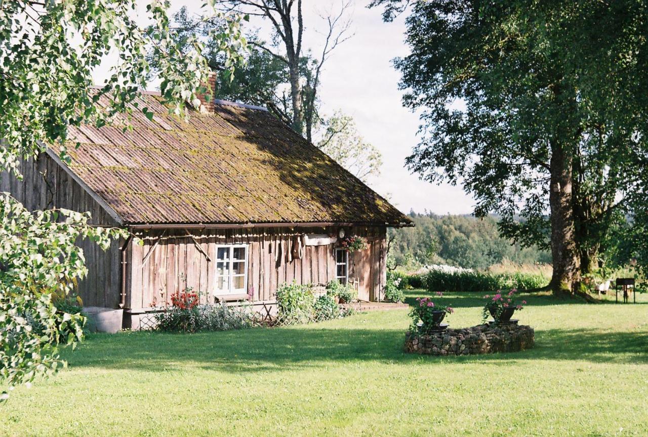 Holiday home Dzerves *