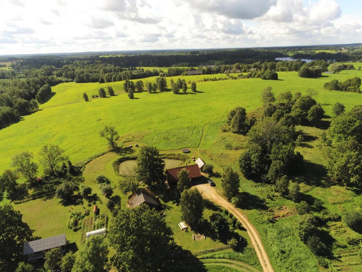 Holiday home Dzerves