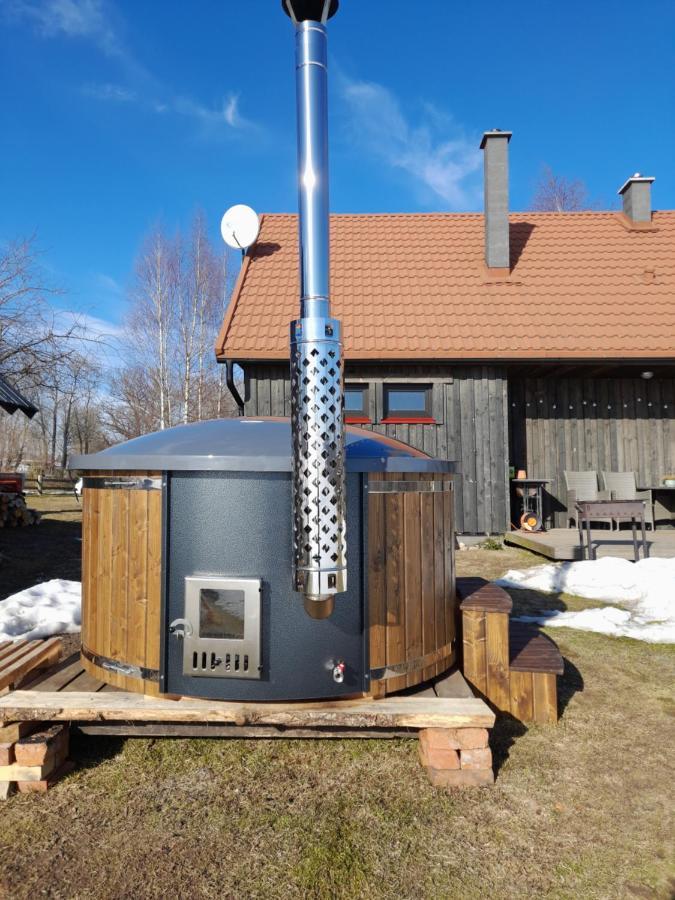 Holiday home Dzerves Araisi