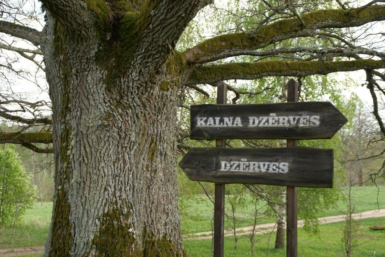 Dzerves Holiday home