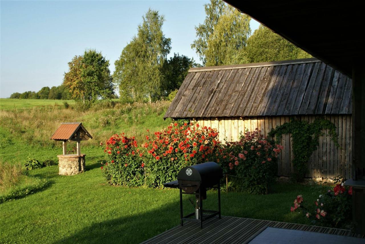 Holiday home Dzerves Araisi