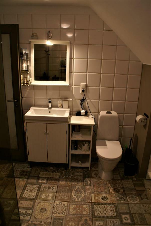 Dzerves Holiday home Araisi