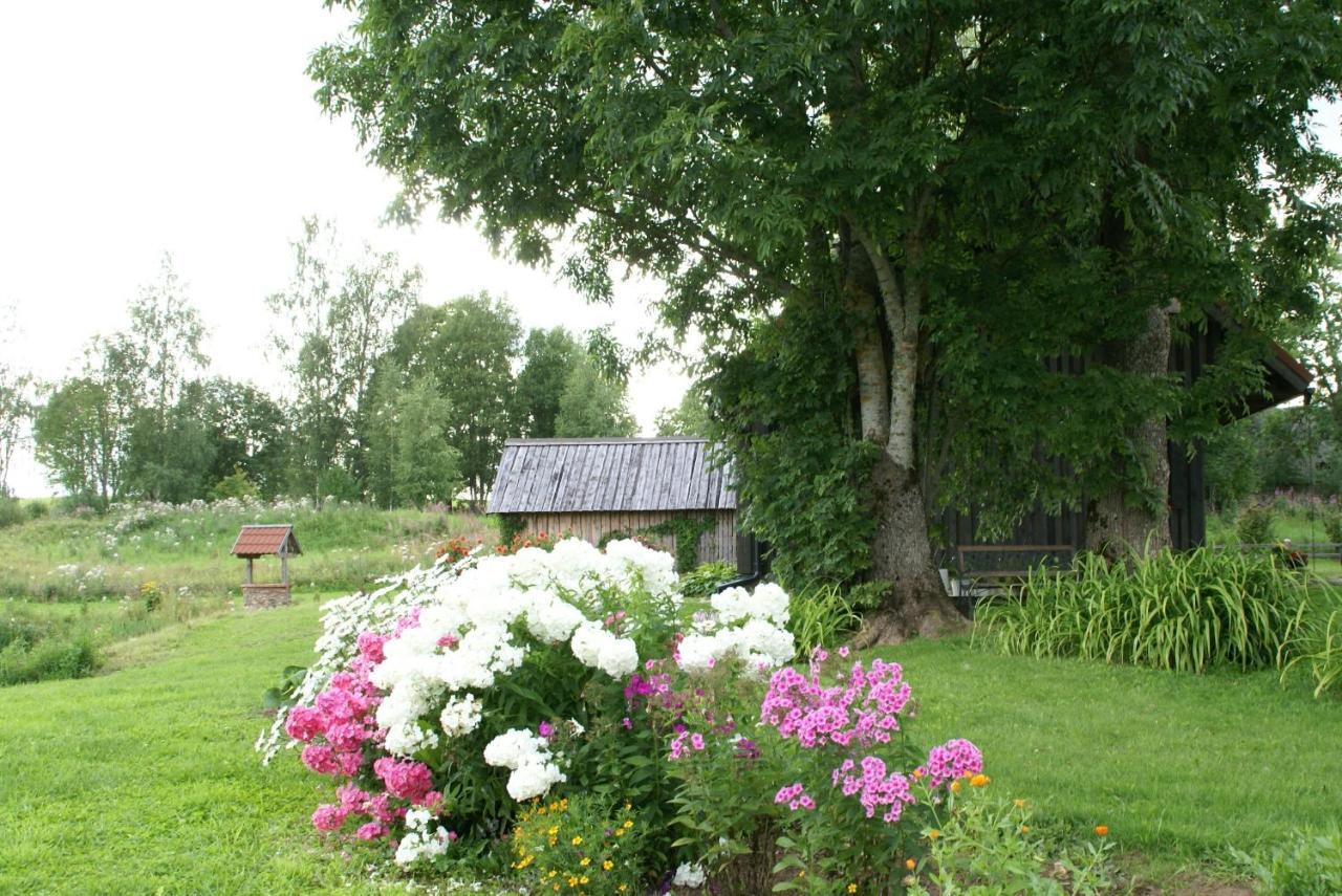 Dzerves Holiday home *