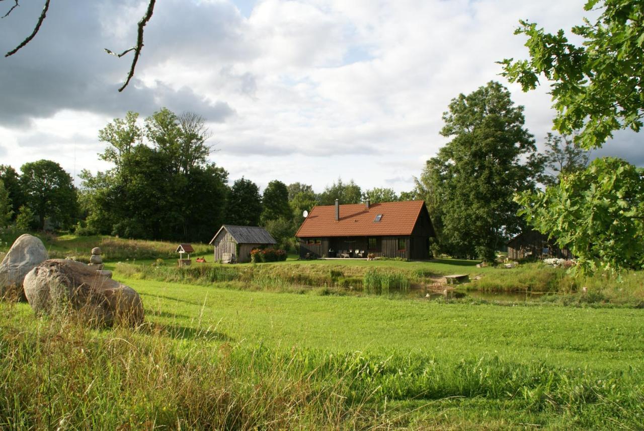 Dzerves Holiday home