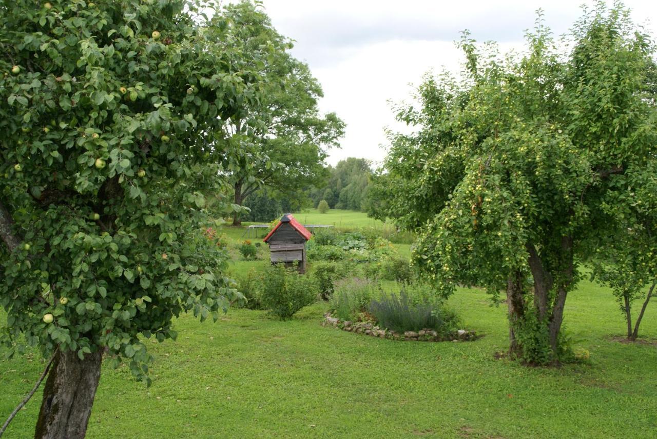 Dzerves Holiday home *