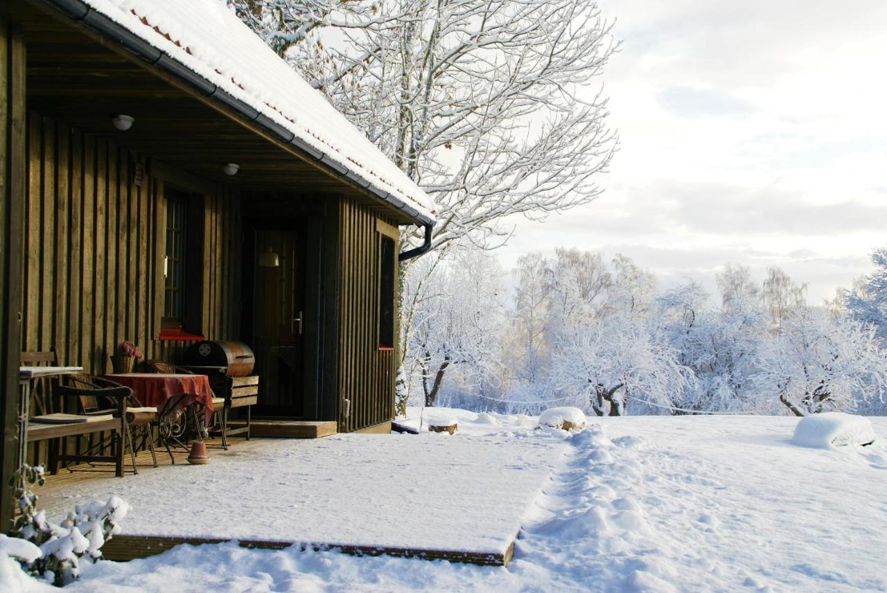 Dzerves Holiday home Araisi