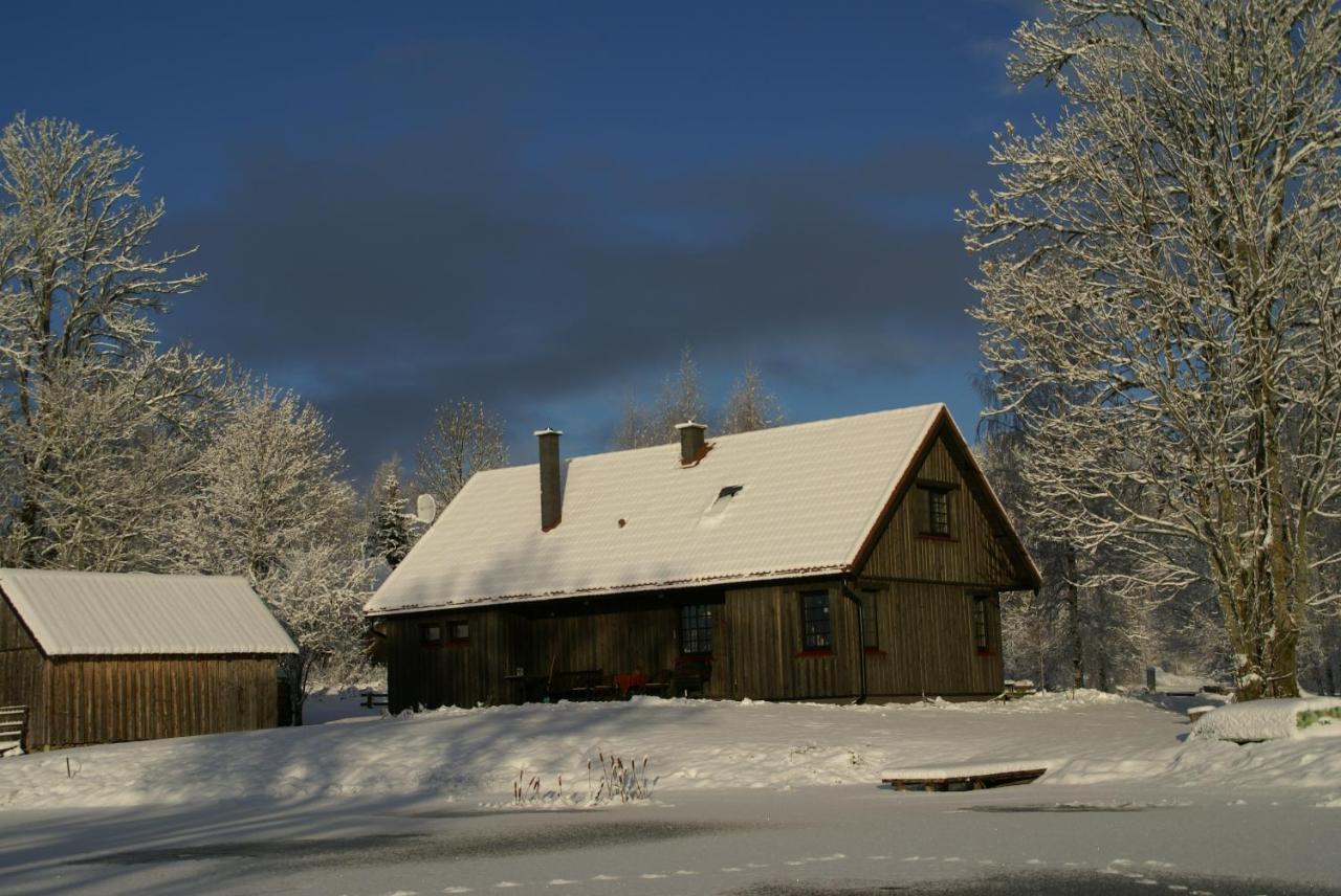 Dzerves Holiday home
